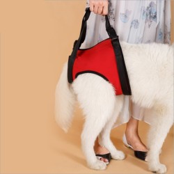 Pet Specific Safety Care Equipment Auxiliary Belt