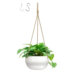 Spot Nylon Rope Hemp Rope Wall Hanging Ceramic Flowerpot Indoor Living Room Green Plants Succulent Potted Decoration