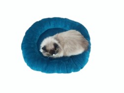 Pet Beds