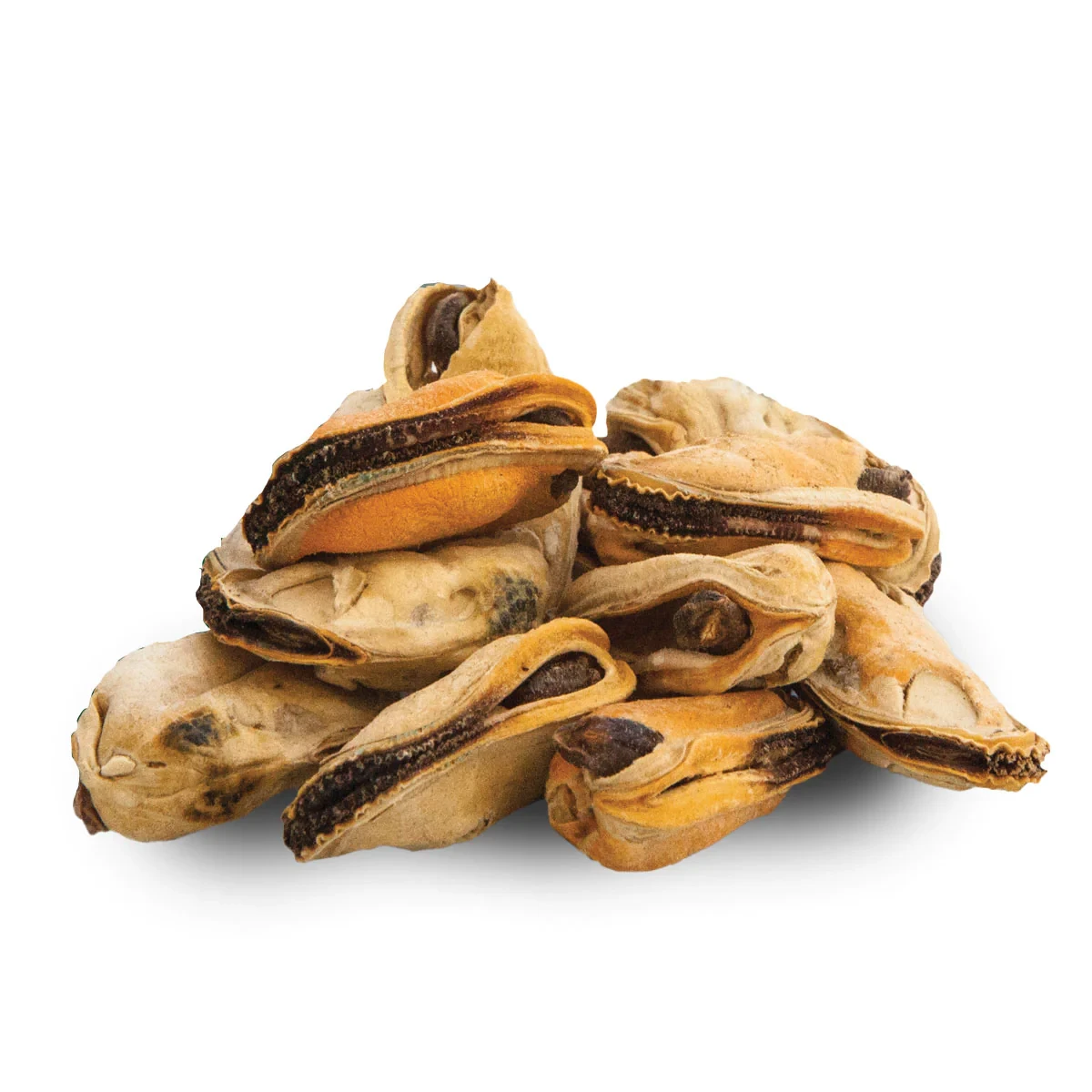 Freeze-dried New Zealand Green-Lipped Mussel dog treats