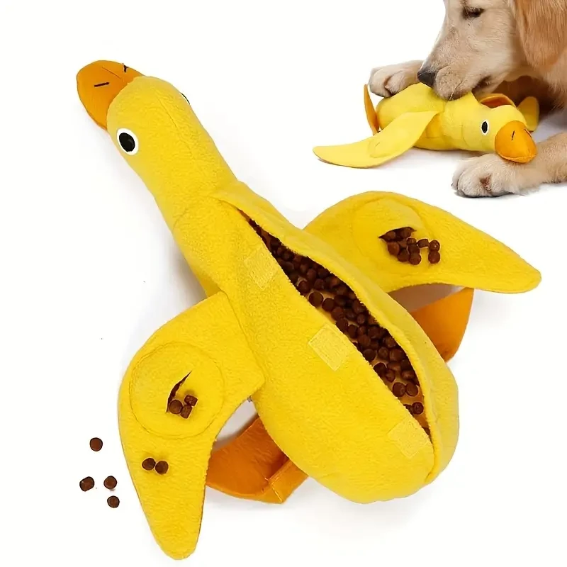 Quack Find Puzzle Toy