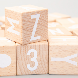 Solid Wood Building Blocks