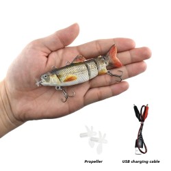 Electronic Fishing Lure