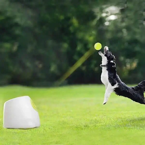 Dog Automatic Ball Launcher