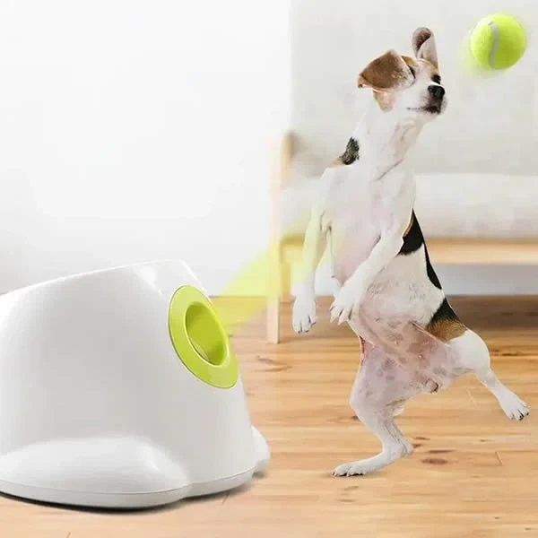 Dog Automatic Ball Launcher