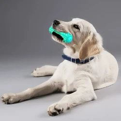 Durable Dog Toothbrush - Pet Molar Stick & Chew Toy for Dental Health