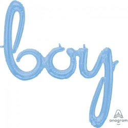 Script Phrase Balloon boy Pastel Blue