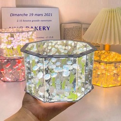 DIY Flowers Mirror Cube Lamp