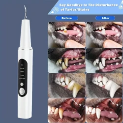 1 Pet Electric Tooth Cleaner, 4 Modes