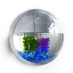 Wall-Mounted Fish Bowl