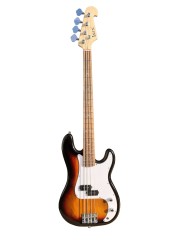 Electric Bass Guitar