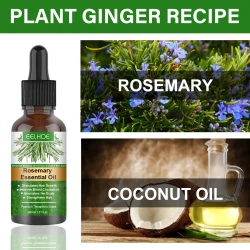 Rosemary Hair Care Essential Oil Anti-Hair loss