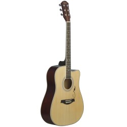 Acoustic Guitar 40