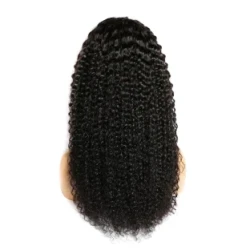 Curly Human Hair Wig Lace Hair