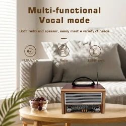 Retro Radio & Wireless Speaker - AM/FM/SW with TWS Wireless 5.0