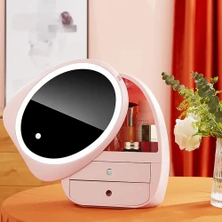 Storage Box With Light Makeup Mirror Dressing Table