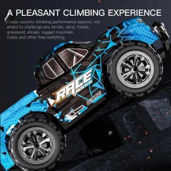 1:16 High Speed Off-Road RC Car - 2WD with LED Light