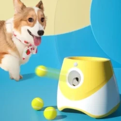 Auto Dog Ball Launcher for Fetch Training