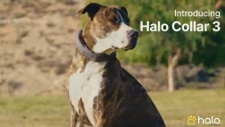 Halo Collar 3 - GPS Dog Fence