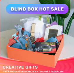 Blind Box Hot Sale