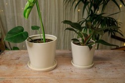 Classic Planter with Saucer