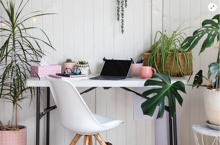 The best plants to spruce up your office